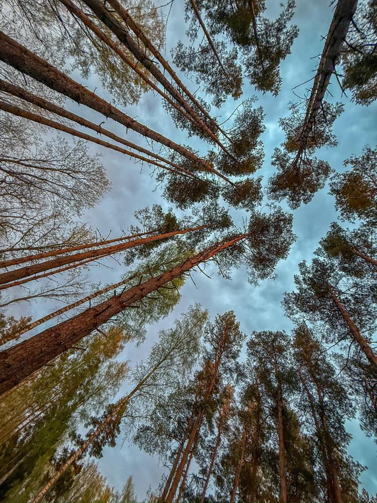 Villa Maennituka Kirikukula  Bagian luar foto